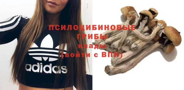 стафф Белокуриха
