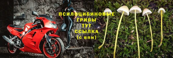 прущая мука Белоозёрский